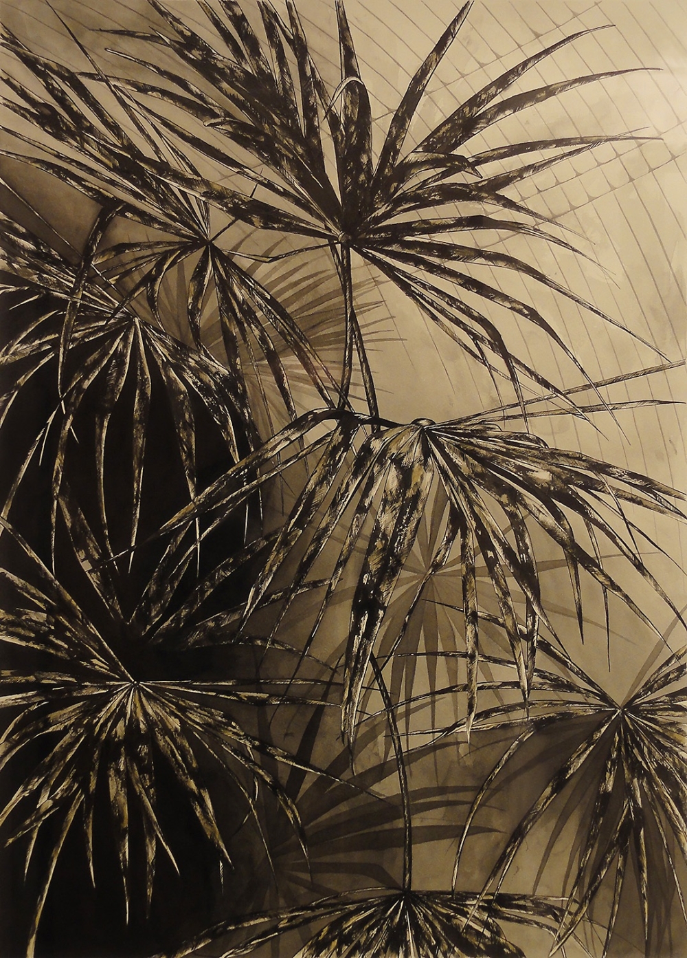 Palm House II 54 x 72cm sumi ink and acrylic on paper 2012
